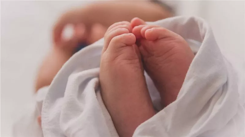 موعد أولى جلسات محاكمة الجدة وشقيقتها وعمة الأطفال في واقعة «رضيع الصف»