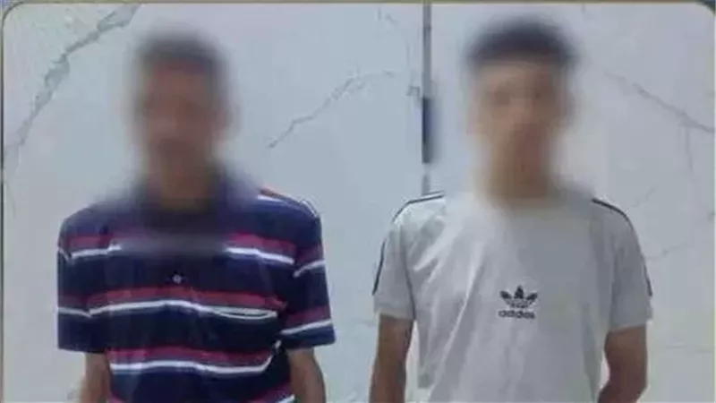نظر استئناف المتهمين بالتعدي على مندوب طلبات في حدائق القبة.. اليوم