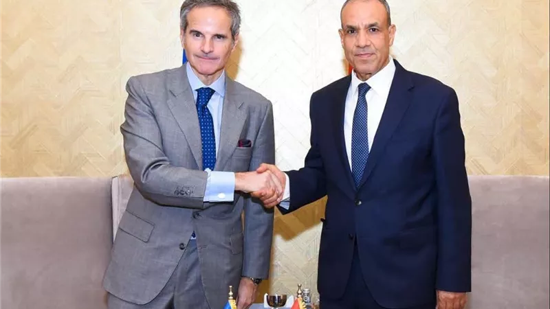 وزير الخارجية يبحث مع مدير الوكالة الدولية للطاقة الذرية ملفات التعاون بمدينة العلمين