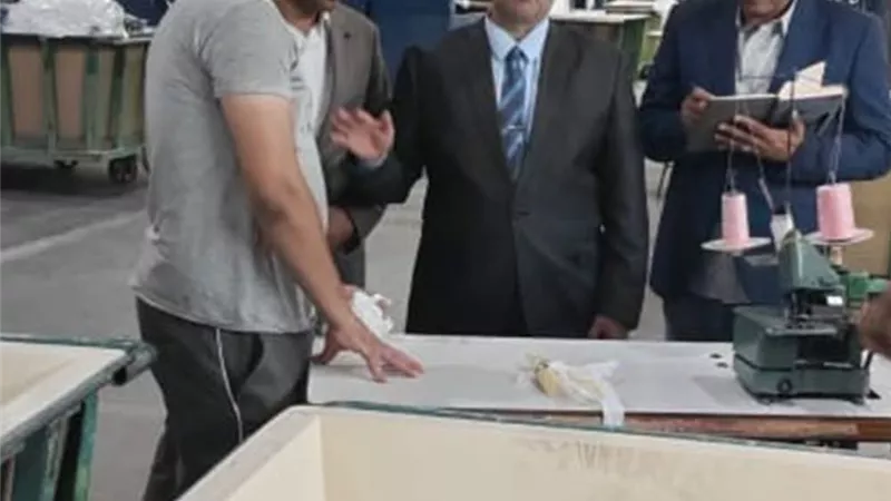 46 ألف جنيه دعم و239 عقدًا بالخارج.. إنجازات مديرية العمل ببني سويف