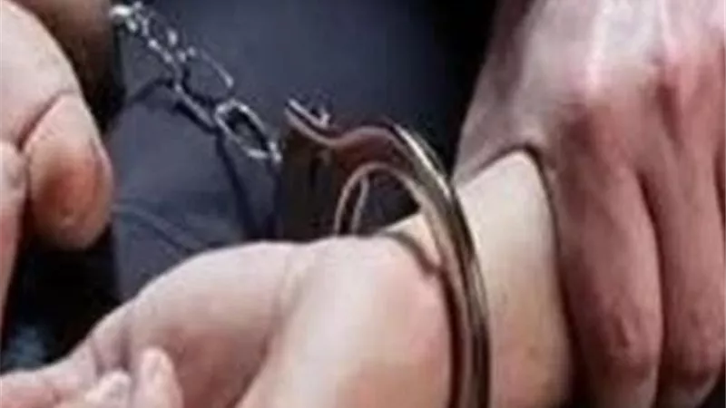 تجديد حبس سائق التريلا المتسبب في وفاة شاب بالفيوم 15 يومًا