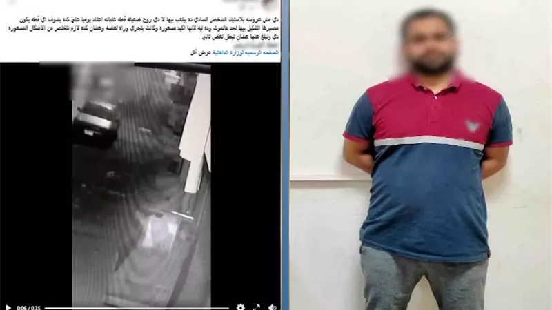 بنته خايفة منها.. القبض على المتهم بالتعدي على قطة حتى نفوقها بالغربية