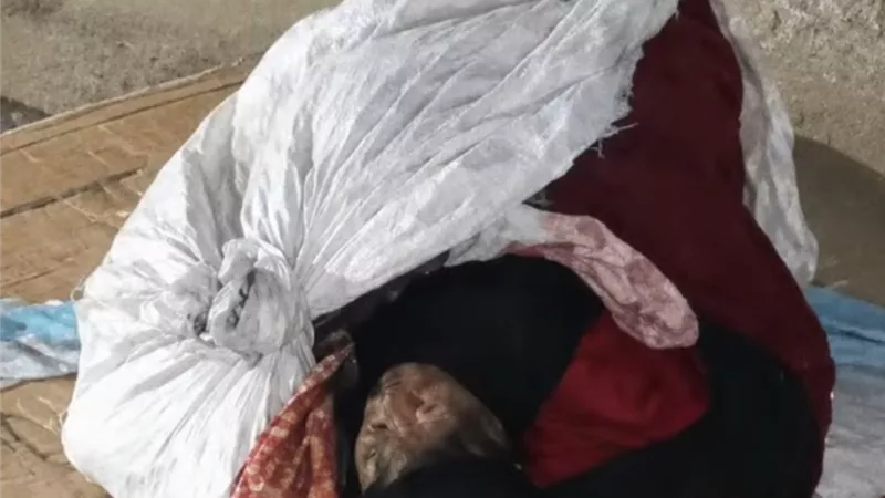 في ظروف غامضة.. العثور على جثة فتاة مجهولة بمنطقة سندوب في المنصورة