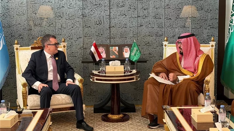 من نيويورك.. مصر والسعودية توسعان آفاق التعاون في التخطيط والتنمية المستدامة