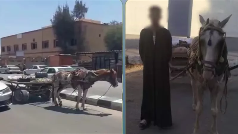 ضبط قائد 