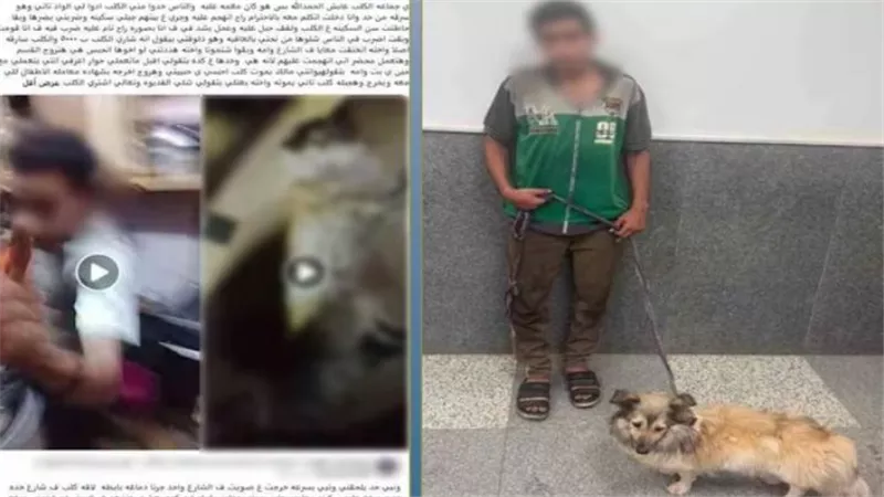 القبض على متهم بالتعدي على كلب وتكبيله في البساتين
