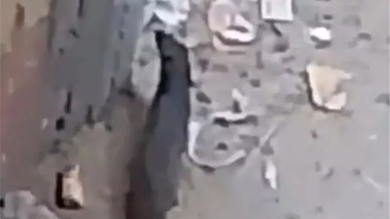 غير شرس وصديق للبيئة أول تعليق من الطب البيطري بالفيوم حول الحيوان الغامض بأبشواي