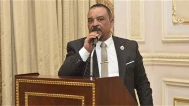 نائب بالشيوخ: مد مهلة توفيق أوضاع المصانع يتطلب إصلاحًا إداريًا لتسريع الاستثمار والإنتاج