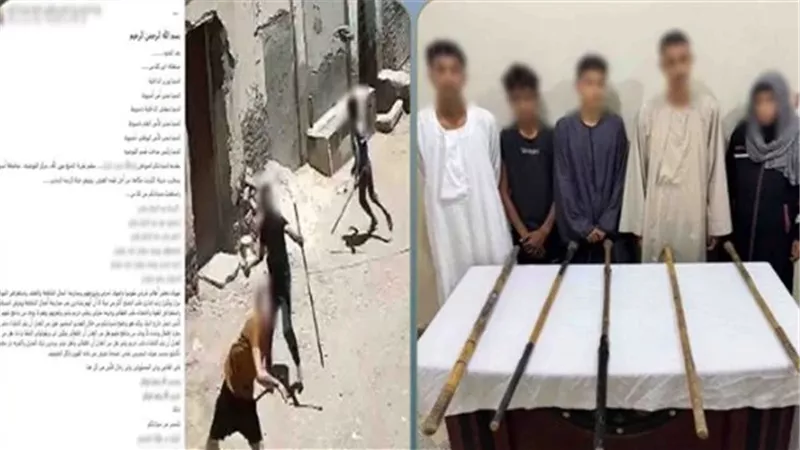عصي وحجارة على كاميرات المراقبة.. ضبط 5 متهمين في واقعة بلطجة بأسيوط
