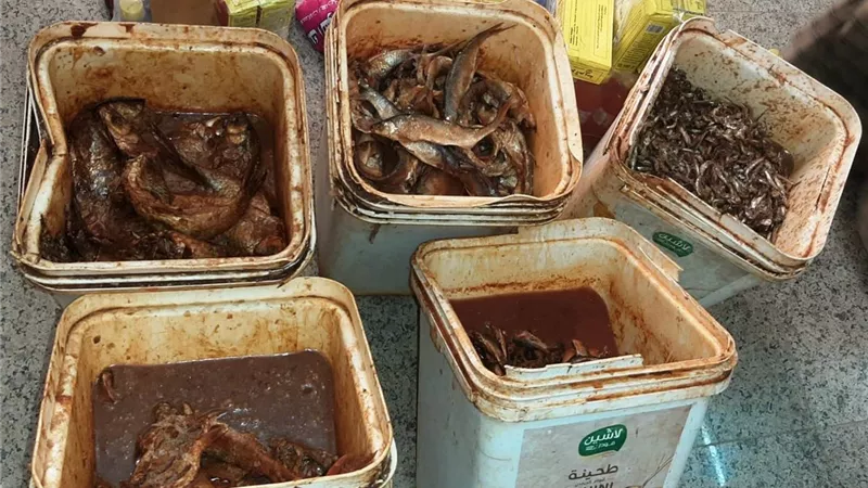 سوهاج تضرب بيد من حديد على المخالفين.. ضبط طن لحوم فاسدة و523 محضرًا تموينيًا