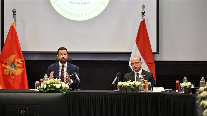 وزير الاستثمار: مصر أصبحت بوابة استراتيجية للوصول إلى سوق يضم أكثر من 3 مليار مستهلك