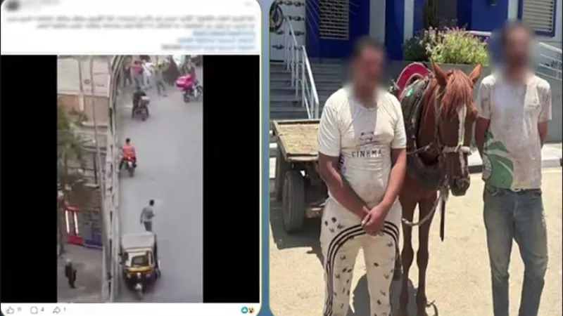 خلاف بسبب إلقاء القمامة يتحول لاعتداء.. ضبط قائد عربة كارو تعدى على عامل نظافة بعين شمس