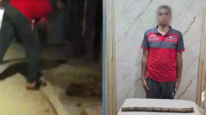 كان هيعقر أحد الأهالي.. الداخلية تكشف حقيقة فيديو التعدي على كلب حتى نفوقه