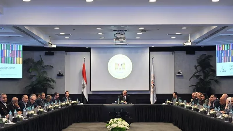 خطوات جديدة لتعظيم الصادرات المصرية.. مباحثات بين وزير الاستثمار ومجموعة موانئ دبي