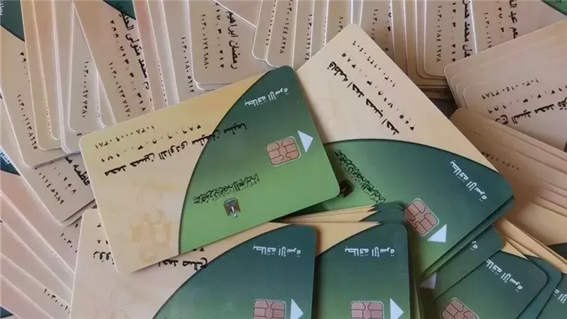 إضافة المواليد على بطاقة التموين إلكترونيًا.. الفئات المستحقة وخطوات التسجيل