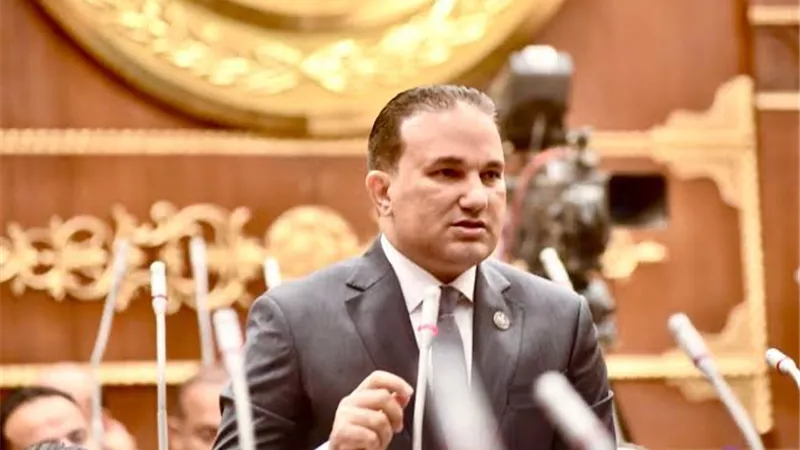 عضو بـ«الشيوخ»: مصر أصبحت البيئة الأكثر تنافسية لرؤوس الأموال العالمية