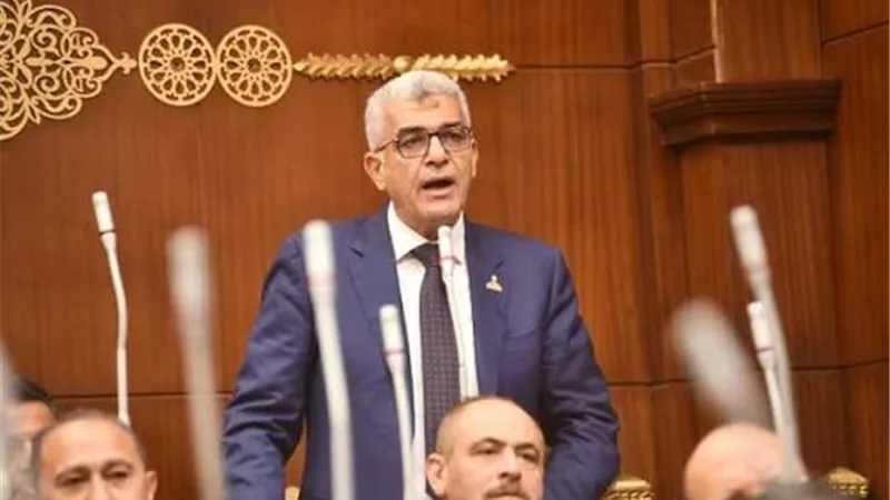 برلماني: القاهرة تعيد رسم خريطة شراكاتها الاستراتيجية وفقًا لمصالحها الوطنية