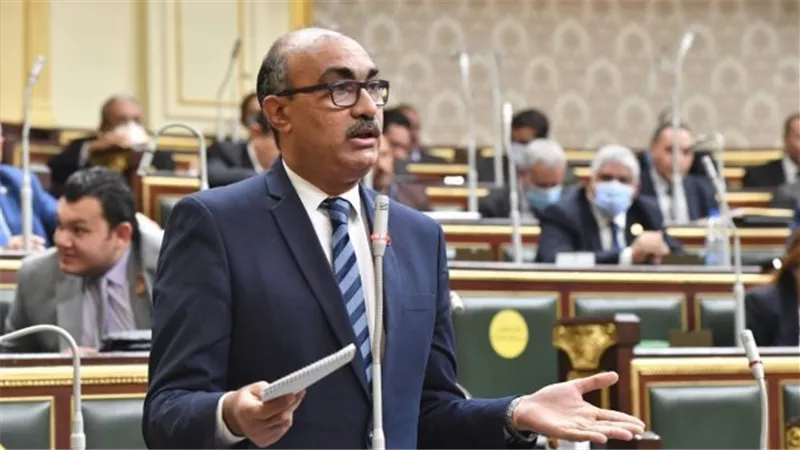 أنت متوفى.. النائب إيهاب منصور يكشف معاناة مواطن مع صرف المعاش