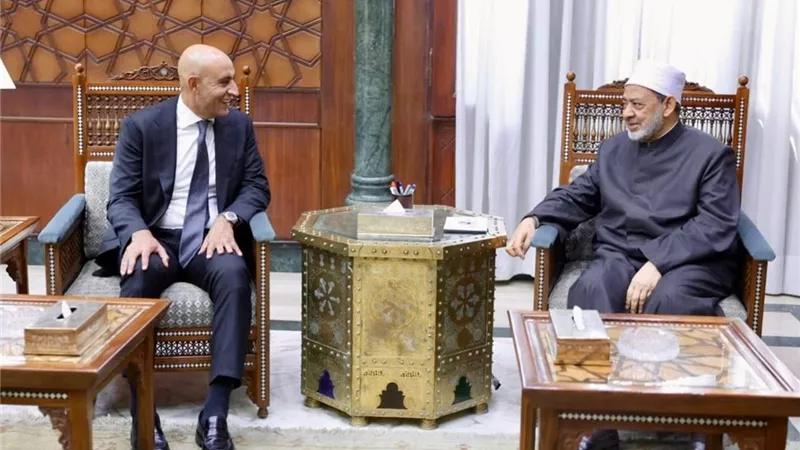 الإمام الأكبر ووزير التعليم يطلقان شراكة جديدة لتطوير التعليم.. واللغة العربية في صدارة الأولويات
