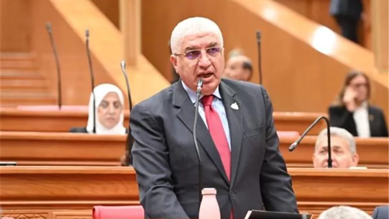 «سيارات ذوي الهمم» عالقة بالموانئ.. برلماني يطالب إنقاذ أصحابها من نزيف الأرضيات| خاص