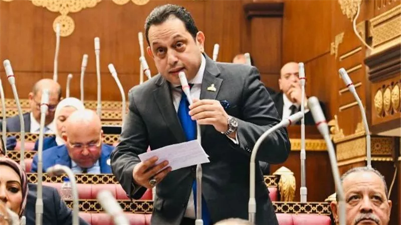 من الاستكشاف إلى مضاعفة الإنتاج.. نائب يكشف خريطة تعظيم ثروات مصر من البترول والغاز