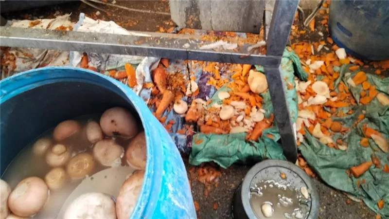 حملة بيئية على معامل تخليل الزيتون بسنورس في الفيوم