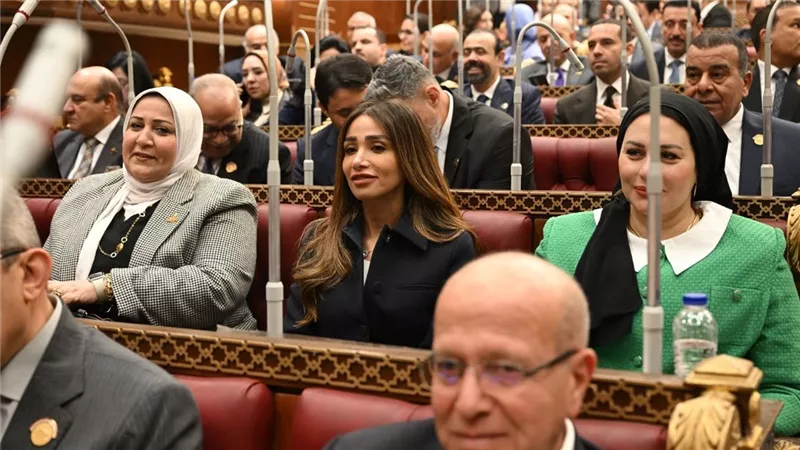 نائبة: تحركات الرئيس السيسي تعزز دور مصر في احتواء الأزمات ودعم استقرار