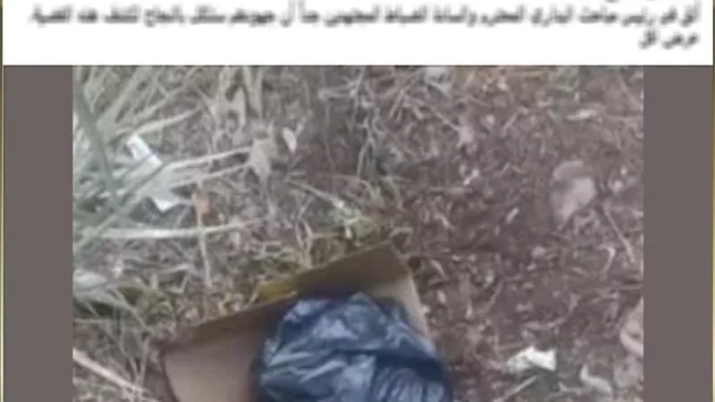 رضيع داخل كيس بلاستيك يكشف السر.. القبض على الأم بعد اعترافها بالتخلص من طفلها في أسيوط