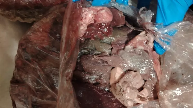 ضبط أغذية فاسدة وسماد مدعم وسجائر صينية في حملات مكثفة لتموين الفيوم