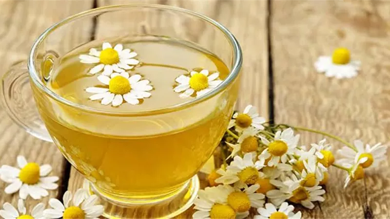 وداعًا للأرق.. 10 أعشاب طبيعية تساعد على الاسترخاء وتحسين جودة النوم