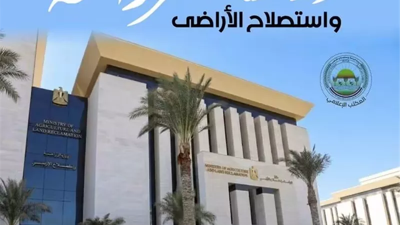 حملات الزراعة تطيح بـ226 طنًا من اللحوم غير المطابقة وتحرير 761 محضرًا بالمحافظات