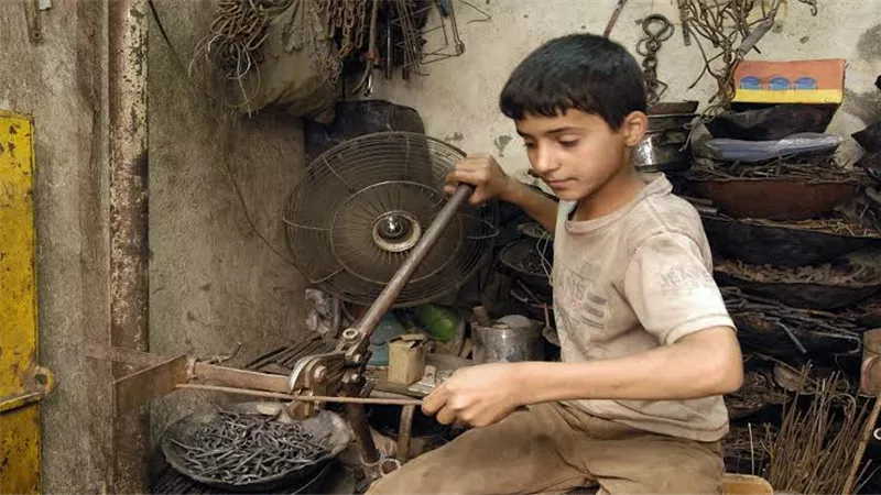 متى يُحظر تشغيل الأطفال وما حقوق المرأة العاملة في قانون العمل الجديد؟