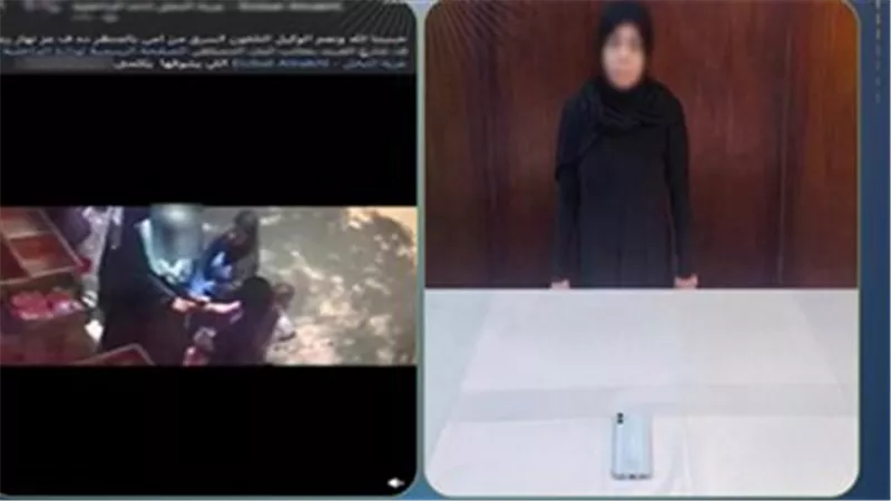 حبس متهمة بسرقة هاتف سيدة بأسلوب المغافلة في عزبة النخل