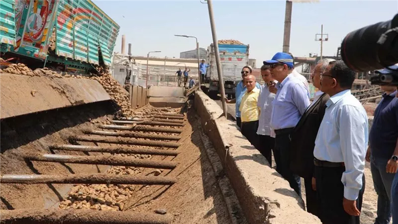 محافظ المنيا يتابع انتظام توريد بنجر السكر بمصانع أبو قرقاص الجديدة