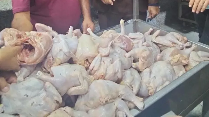 حملات رقابية بالمنيا تضبط 340 كيلو لحوم مخالفة وتحرر 39 محضرًا