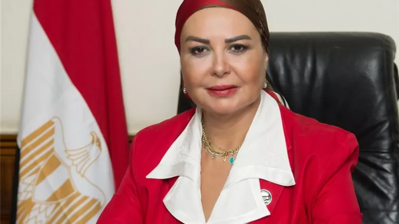 أمل سلامة تطالب بمراجعة النفقة دوريًا بما يتناسب مع تكاليف المعيشة ومعدلات التضخم