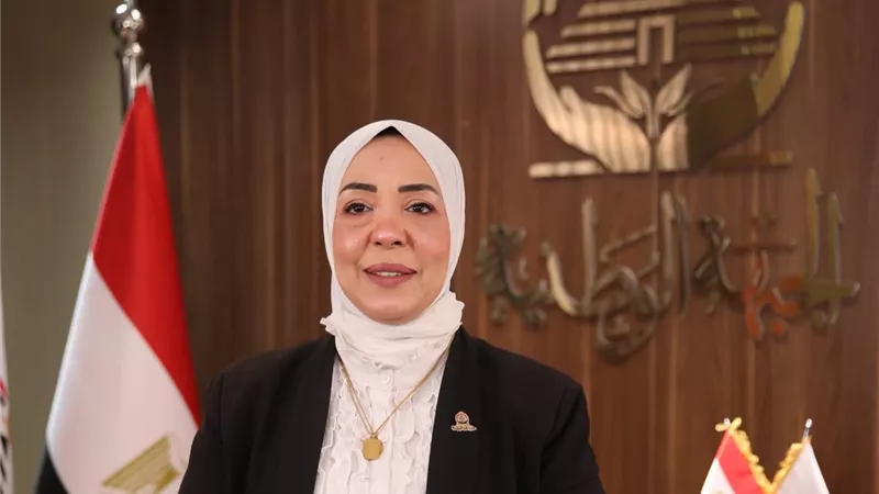 شهادة التثقيف الرقمي.. مقترح برلماني جديد شرطًا للتخرج