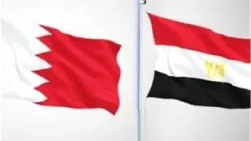301 مليون دولار حجم التبادل التجاري بين مصر والبحرين خلال 2025