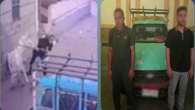 بسبب خلافات الميراث.. ضبط مزارع حطم سيارة نجل شقيقه بالحجارة في البحيرة