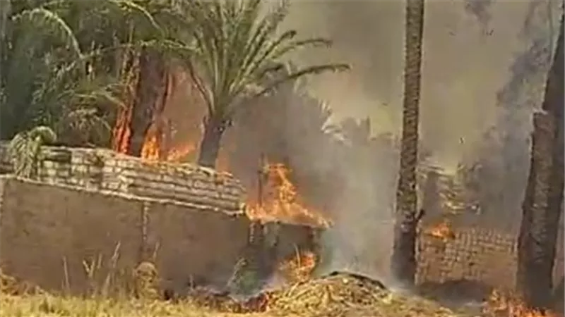 حريق يلتهم منطقة زراعية بقرية عطف حيدر في العدوة بالمنيا