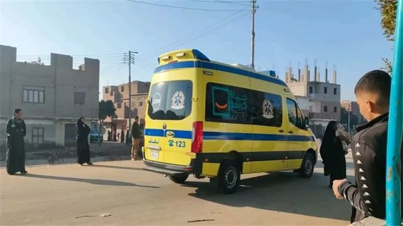 بينهم طفل.. إصابة 3 أشخاص في اعتداء مسلح بقرية ميت أبو خالد