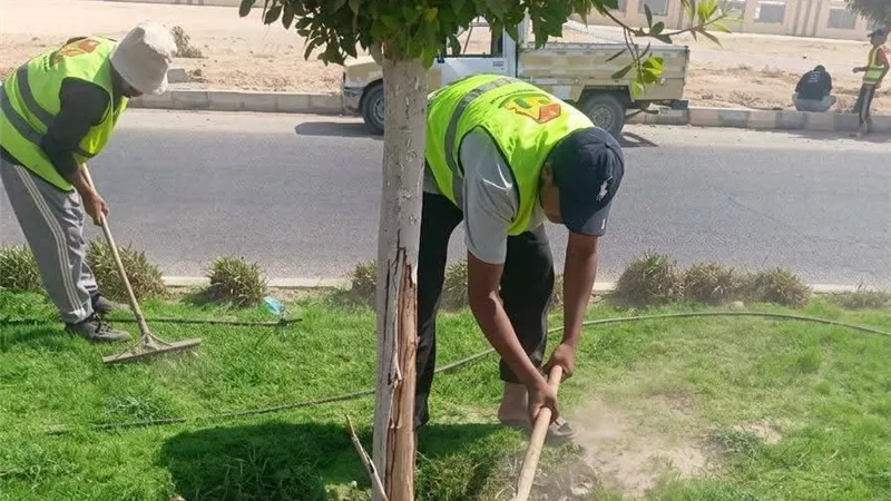 سباق مع الزمن في بني سويف الجديدة لتجميل المداخل والمحاور الرئيسية