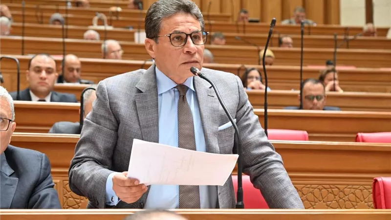 بعد استجابة «تنظيم الاتصالات».. مطالب برلمانية لاستكمال ضبط منظومة خطوط المحمول