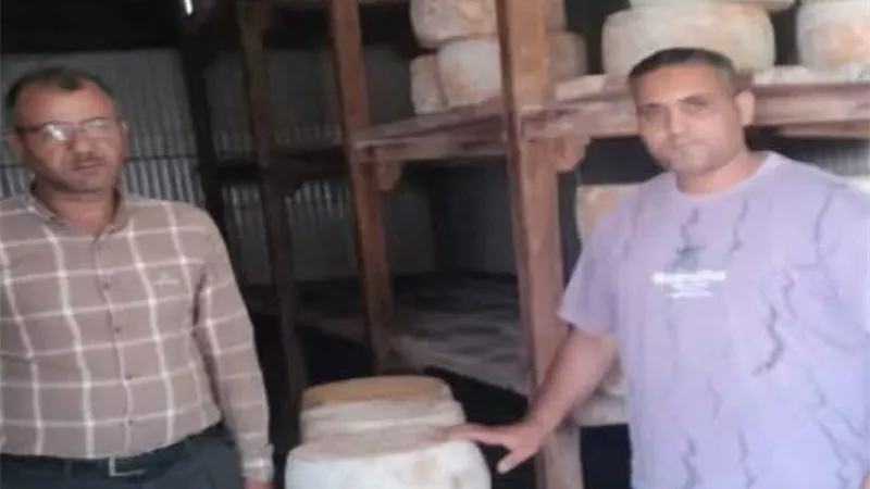 ضبط 360 كيلو جبن رومي مجهول المصدر وغلق محلي بقالة تموينية بدمنهور