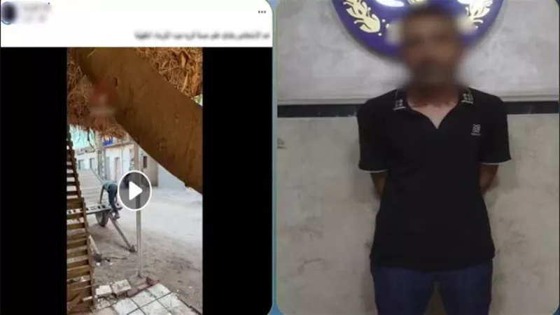 ضبط عامل بعد التعدي على سيدة مسنة بسبب خلاف مالي بالدقهلية