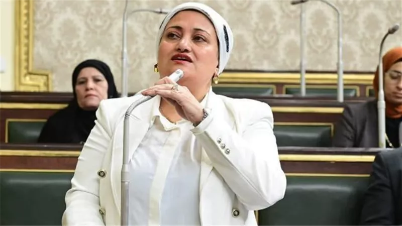 من أين لك هذا؟.. النائبة سناء السعيد تطالب بفحص ثروات النواب ومواجهة المتجاوزين