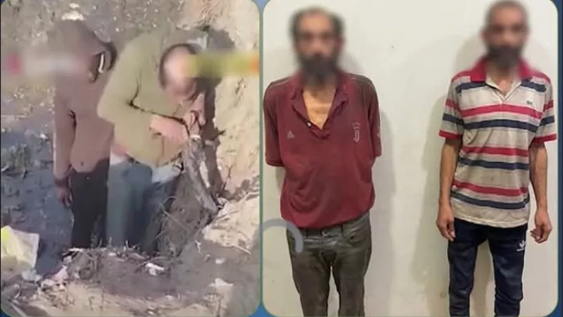 محاولة سرقة كابل كهرباء تنتهي بضبط عاملين بعد تداول فيديو الواقعة بالقليوبية