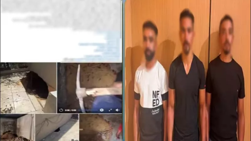  بسبب أعمال إنشائية داخل جراج دون ترخيص.. 3 أشخاص يتعدون على سكان عقار بالمقطم