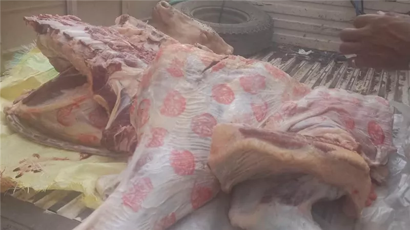 حملات رقابية على محال الجزارة بسمالوط.. ضبط ذبيحة صغيرة وأختام مزورة