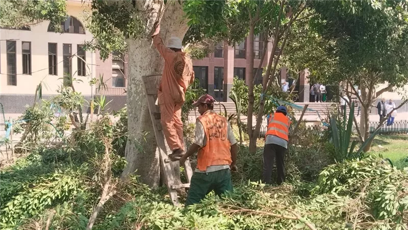 جهاز التطوير يواصل رفع كفاءة وتجميل شوارع وميادين الإسماعيلية.. صور